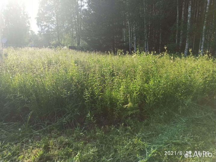 Покос травы