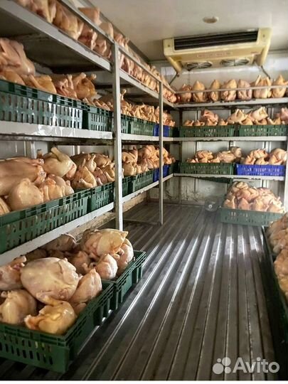 Куриные тушки домашние