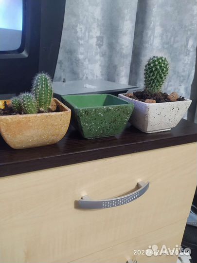 Керамические горшки