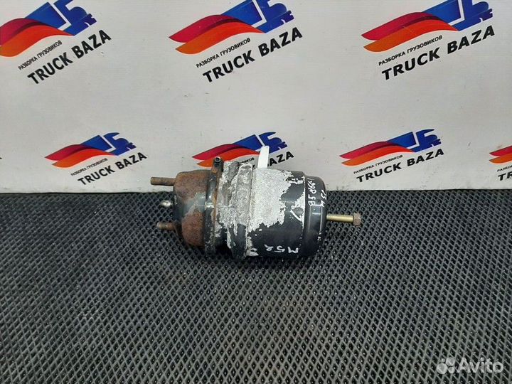 Энергоаккумулятор тормозной задний