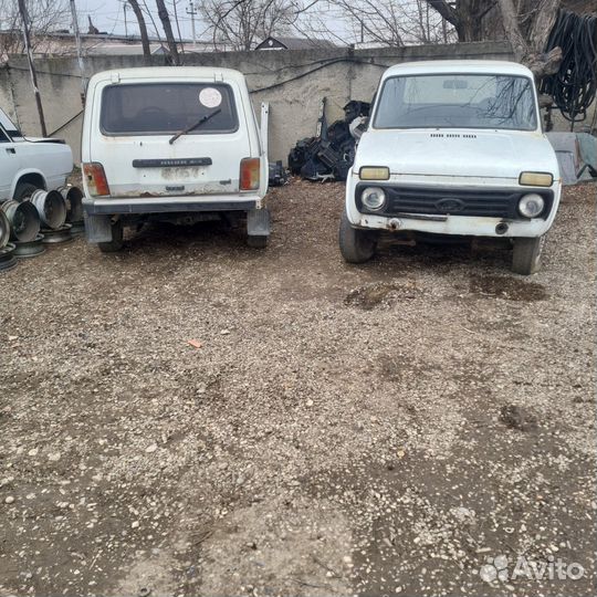 Нива разбор