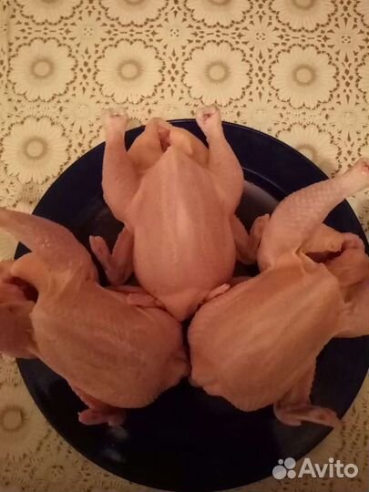 Цыплята, молоко коз