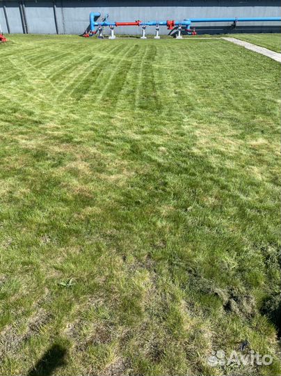 Покос травы