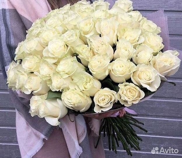 Высокие розы Гигантские розы с доставкой