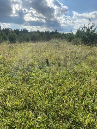 Участок 26 сот. (ИЖС)