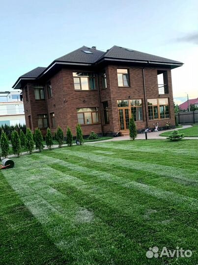 Рулонный газон