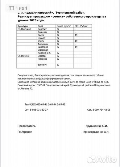 Семена озимой пшеницы от производителя