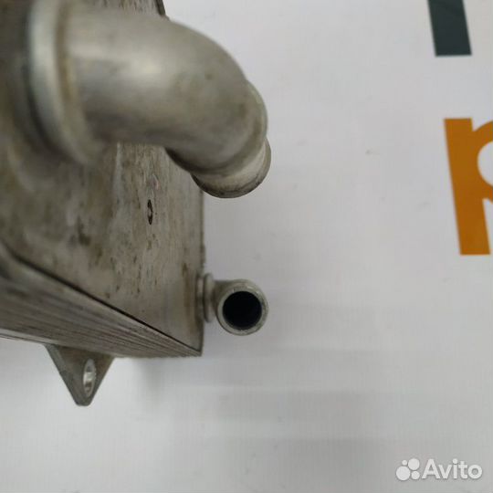 Радиатор масляный Volkswagen Tiguan 2 2019