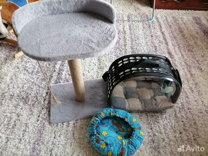 Когтеточка, переноска