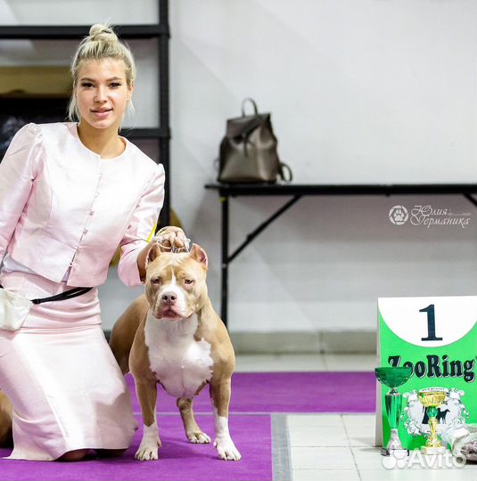 Профессиональный Хендлер / Кинолог / Хендлер