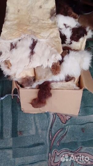 Шкурки кролика