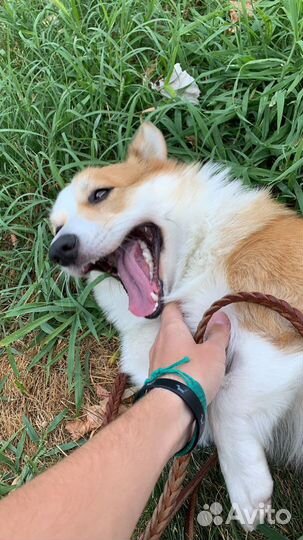 Передержка в домашних условиях