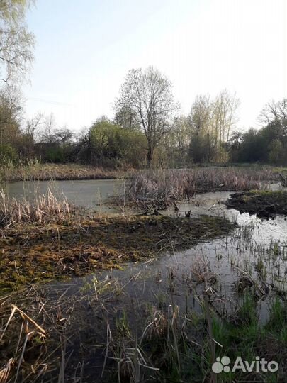 Очистка водоемов