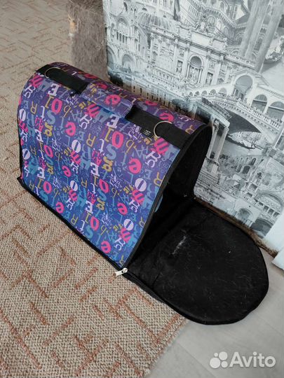 Кот Британец