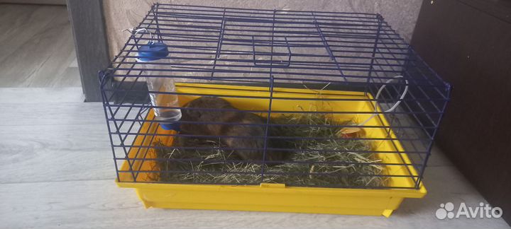 Клетка для грызунов