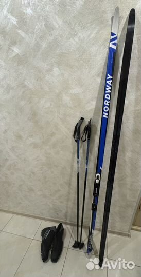 Горные лыжи