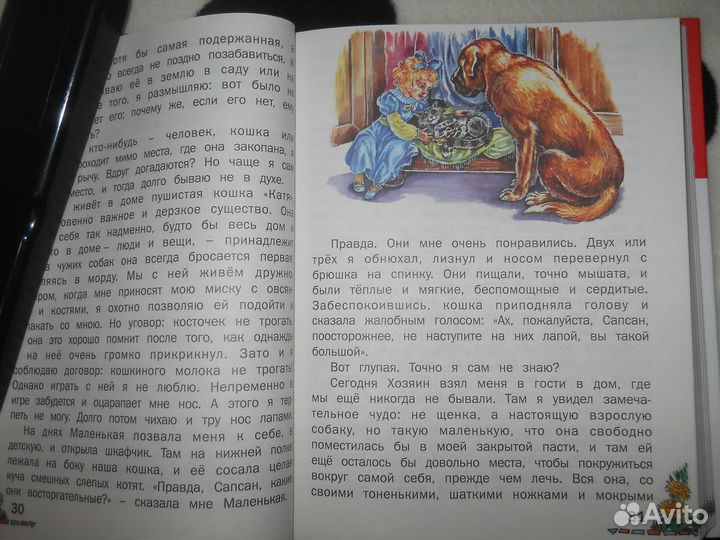 Домашнее чтение (Новая книга)