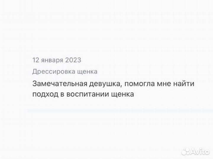 Кинолог. Дрессировка и воспитание собак