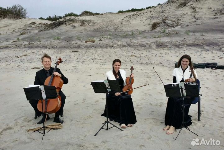 Квартет; Трио; Дуэт; на вашу Свадьбу; Торжество: