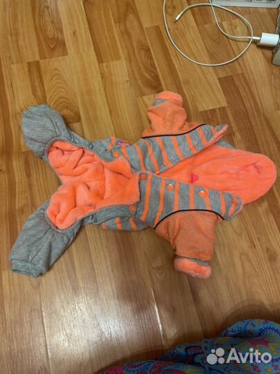 Одежда для собак мелких пород