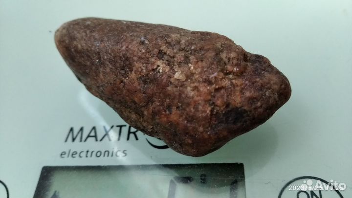 Зуб динозавра Carcharodontosaurus. Архозавра и др