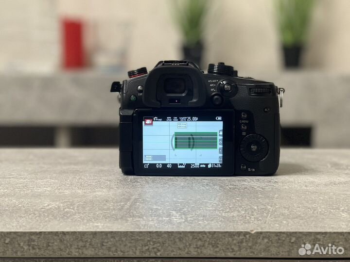 Panasonic lumix gh5s