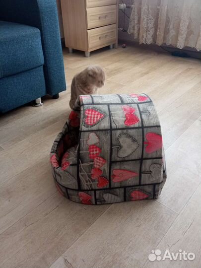 Домик для кошки бу