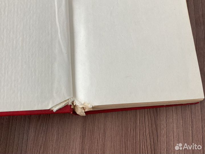 Поющие в терновнике