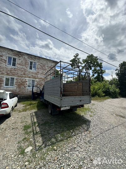 Перевозка скота