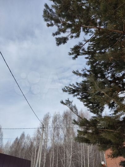 Участок 8 сот. (ИЖС)