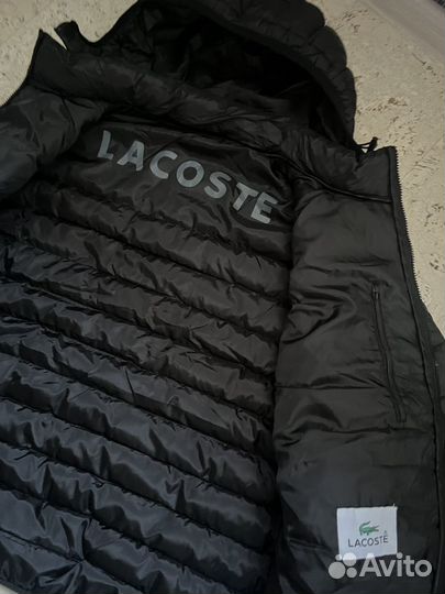 Весенняя куртка lacoste мужская