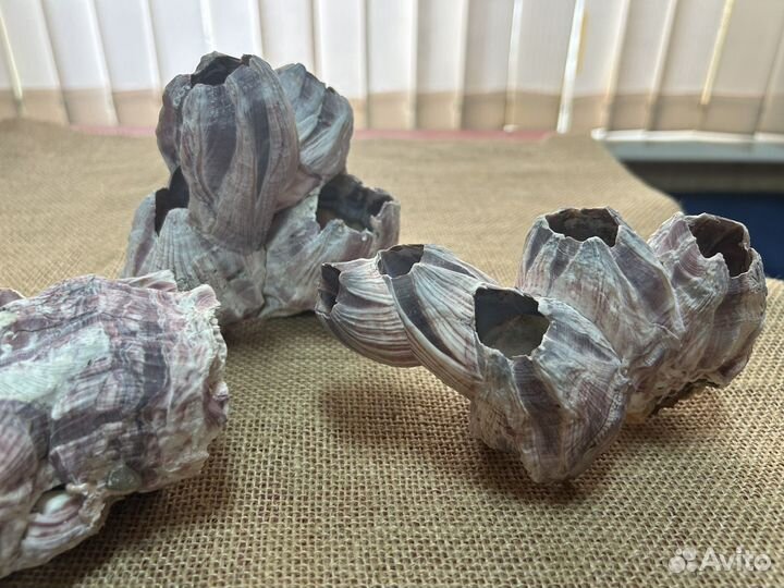 Весь декор для аквариума