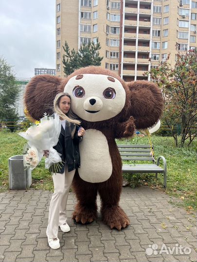 Живая открытка Ростовые куклы