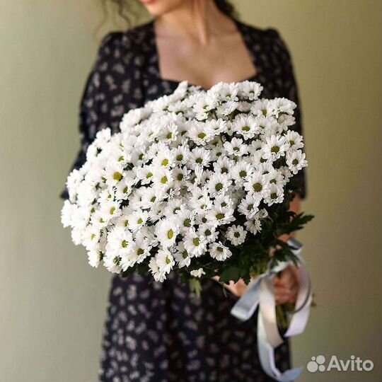 Хризантема