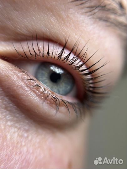 Обучение по ламинированию ресниц