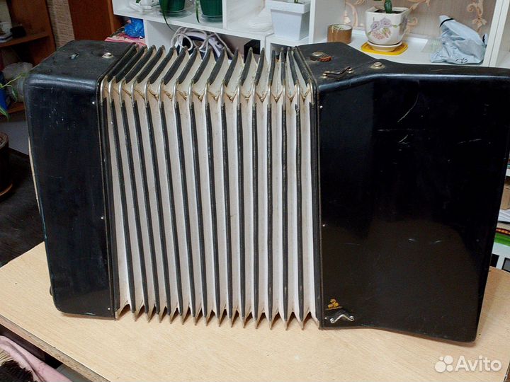 Аккордеон weltmeister stella 3 4