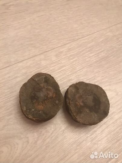 Окаменелое яйцо