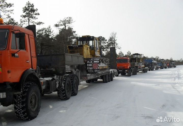 Услуги трала вездехода