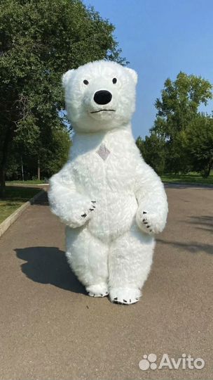 Ростовой медведь и Саксофон