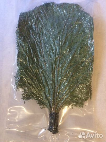 Пихтовые веники для бани