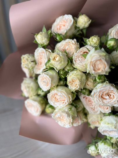 Роза кустовая пионовидная / букет из роз