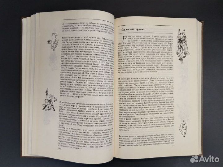 В. Песков. Окно в природу. Том 1