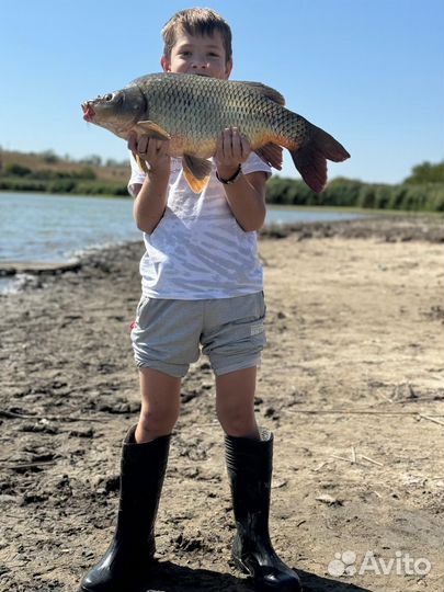 Рыбалка отдых у воды