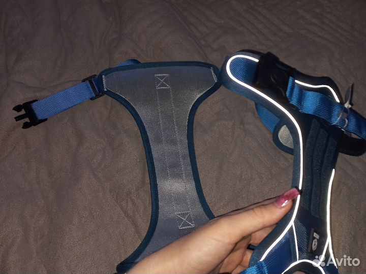 Шлейка для собаки