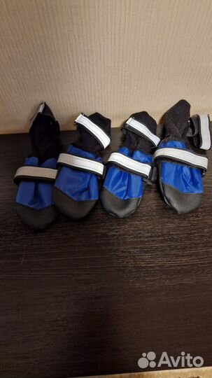 Вещи для собак