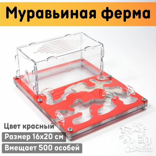 Муравьиная ферма 