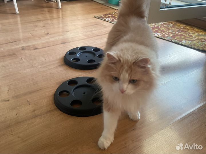 Колпаки газель