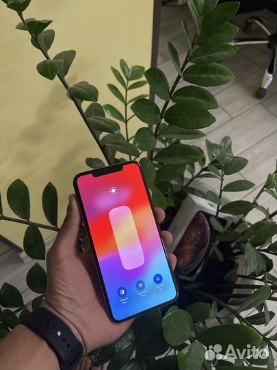 iPhone Xs Max, 512 ГБ