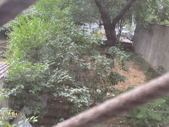 3-к. квартира, 74 м², 1/9 эт.