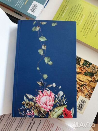 Фрейм, Майк Омер, Чбоски, Кристи, Замятин